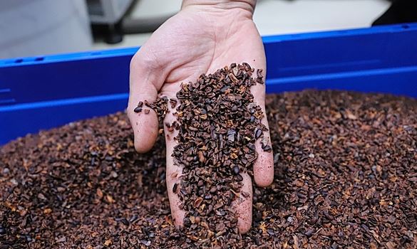Reuters: крупнейшие заводы Африки по производству какао перестали работать