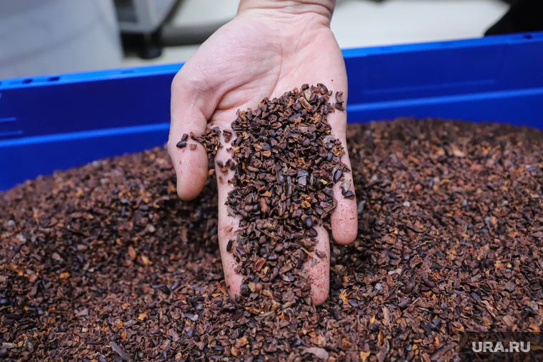 Reuters: крупнейшие заводы Африки по производству какао перестали работать